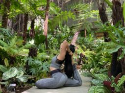 Gardening and Yoga